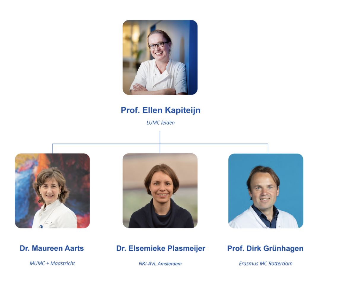 Bestuur DMSCG 2026 website