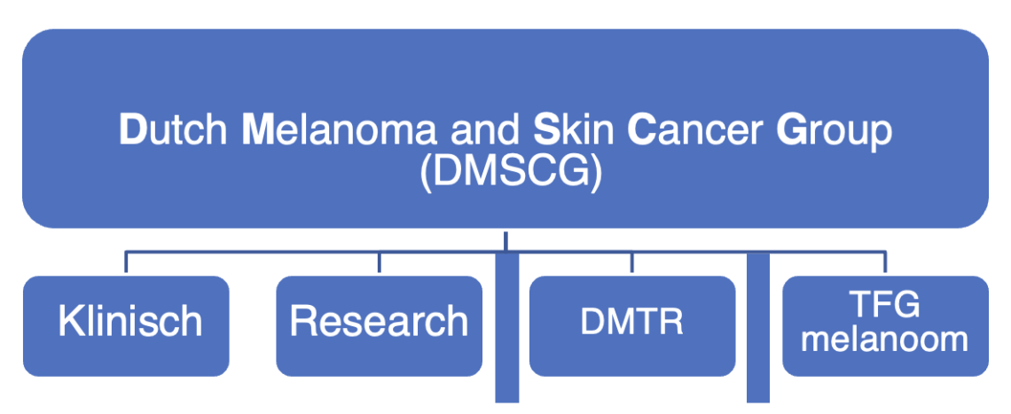 DMSCG afbeelding 2026